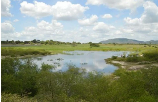 Prefeitura de Feira gastou os tubos para adaptar a Lagoa de São José como uma praia da cidade