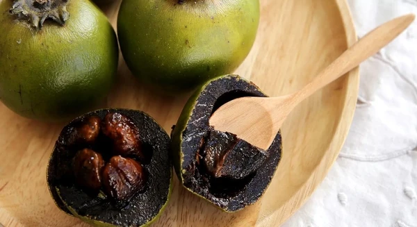 Sapote preto ou sapota preta: a fruta pudim de chocolate por Reprodução
