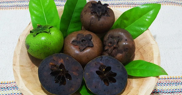 Sapote preto ou sapota preta: a fruta pudim de chocolate por Reprodução