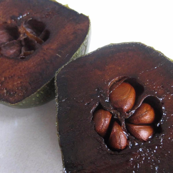 Sapote preto ou sapota preta: a fruta pudim de chocolate por Reprodução