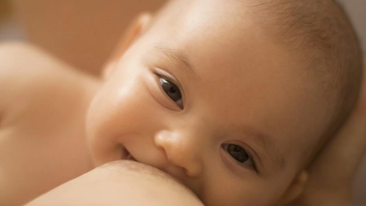 7. Facilita a digestão, já que o leite materno é mais leve e facilmente absorvido pelo organismo do bebê em comparação a outros tipos de leite. por Shutterstock