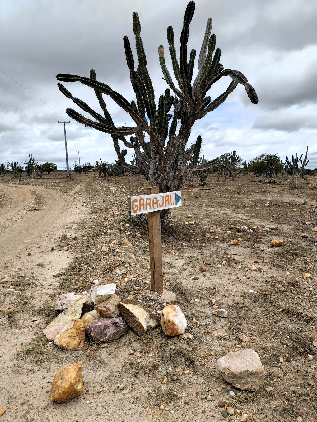 Caminho para a Fazenda Garajau, em terras de Macajuba e Ruy Barbosa, na Bahia