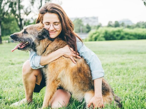 Imagem - Veja como manter a saúde e o bem-estar dos animais idosos