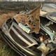Imagem - Árvore em chamas cai em cima de carro e mata motorista