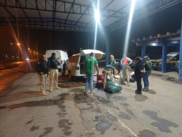 Ação conjunta reforça combate ao tráfico de animais, por Divulgação