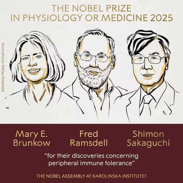 Mary E. Brunkow, Fred Ramsdell e Shumon Sakaguchi