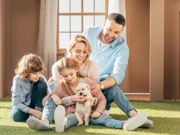 Imagem - 6 dicas essenciais para famílias que pensam em adotar um pet