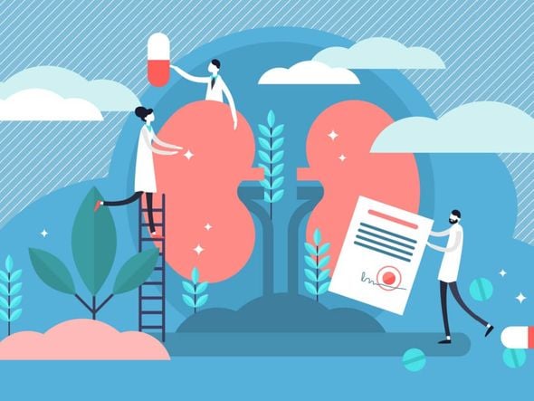 Imagem - 4 dicas para prevenir e identificar o câncer renal