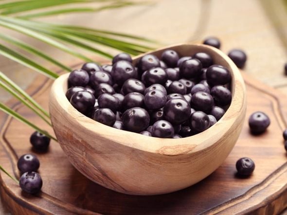 Imagem - 15 frutas e plantas do Norte e Nordeste que fortalecem a saúde