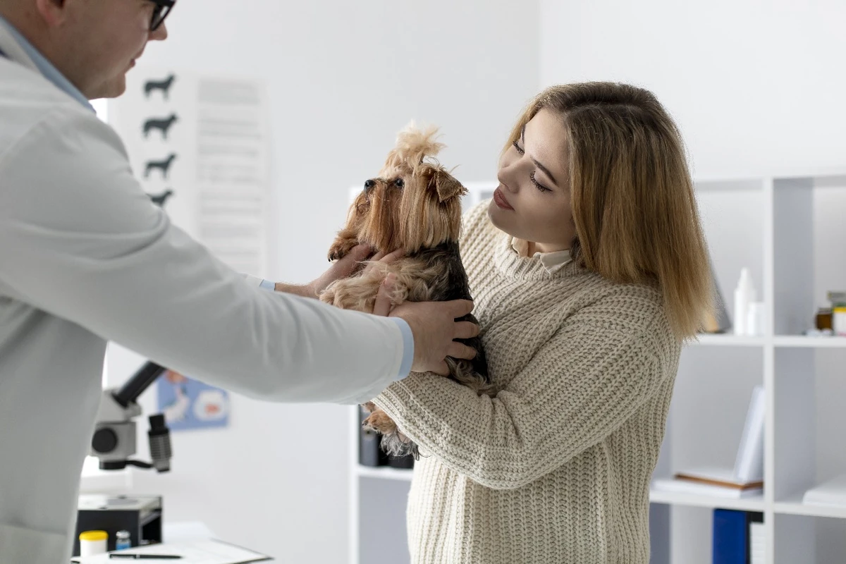 Outubro Rosa Pet da Unifacs será nos dias 17 e 18 de outubro