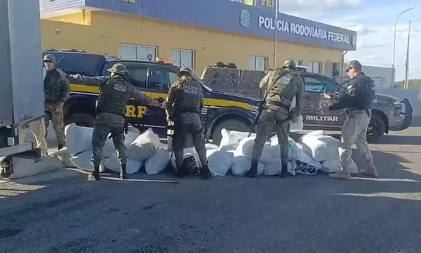 781 quilos de maconha foram apreendidos pela PRF