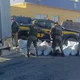 Imagem - Motorista é preso com 781 quilos de maconha após perseguição em estrada da Bahia