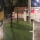 Imagem - Motoristas são retirados de ônibus em protesto contra criança de 9 anos baleada no Vale das Pedrinhas