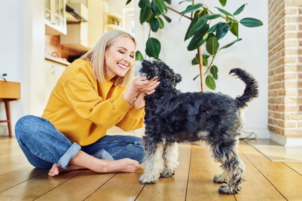 O cachorro carinhoso costuma seguir a sua pessoa preferida pela casa (Imagem: baranq | Shutterstock)