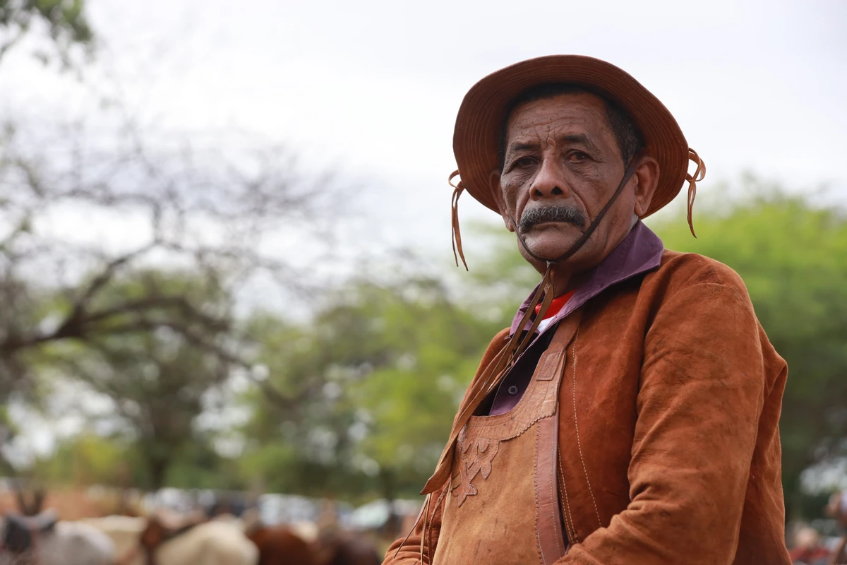 Vaqueiro de Curaçá, na Bahia por Shutterstock