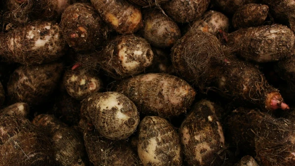 Rico em fibras e vitaminas, o inhame ajuda a fortalecer o cérebro e o sistema imunológico