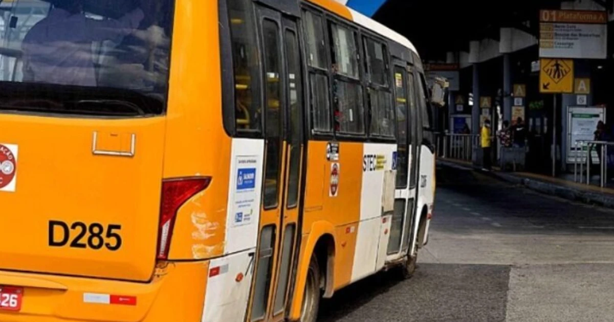 Imagem - Três linhas de ônibus começam a operar em Salvador; conheça rotas