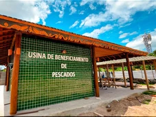 Imagem - Bom Jesus dos Passos ganha Usina de Beneficiamento de Pescado