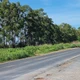 Imagem - Acidente frontal deixa quatro mortos e três feridos em estrada da Bahia