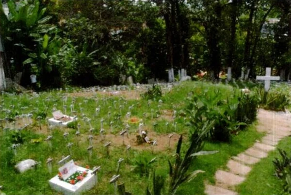 Cemitério de Animais em Salvador por Reprodução