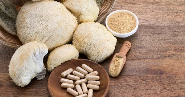 Cogumelo Juba de Leão