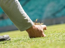 Imagem - Mesmo com pressão do Flamengo, CBF mantém regra para gramados