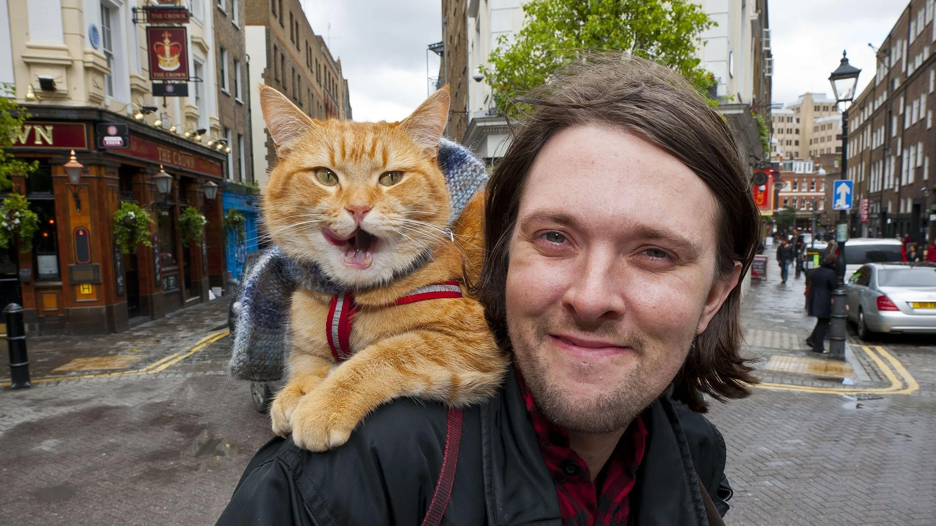 Imagem - De sem-teto a milionário: morador de rua fica rico após adotar gato ferido