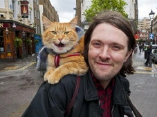 Imagem - De sem-teto a milionário: morador de rua fica rico após adotar gato ferido