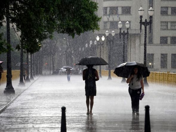 Imagem - 3 doenças causadas pelo contato com a água da chuva