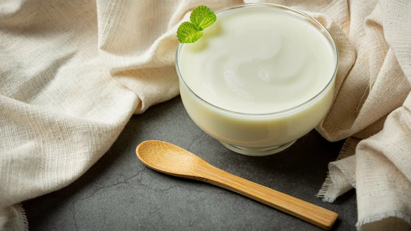 Do café da manhã aos lanches, o iogurte grego pode transformar sua alimentação com sabor e nutrição