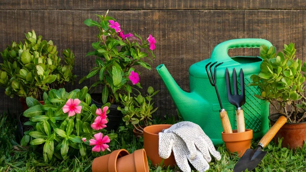 Garanta um rebrote vigoroso: as 5 espécies de jardim que se beneficiam de uma poda estratégica antes do fim do mês