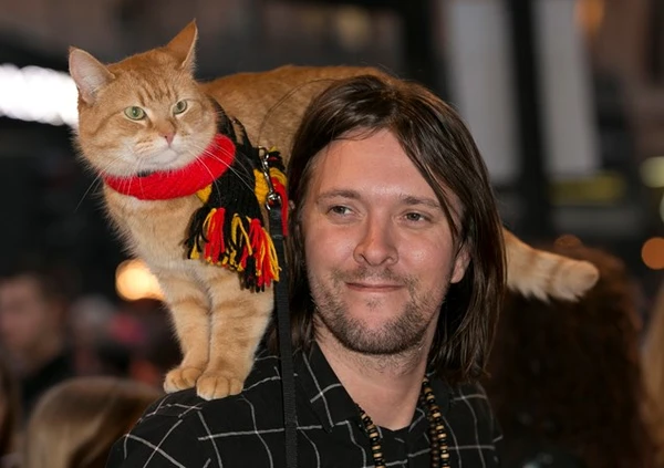 James Bowen e Bob por Reprodução