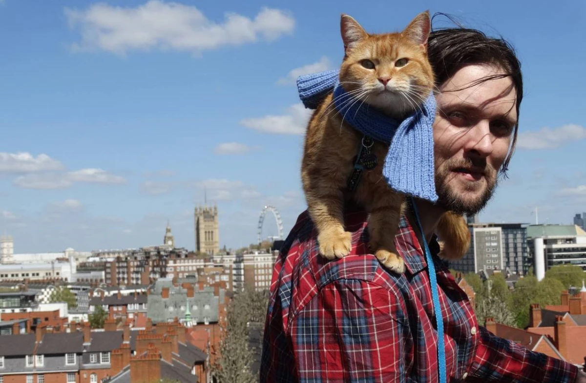 James Bowen e Bob por Reprodução