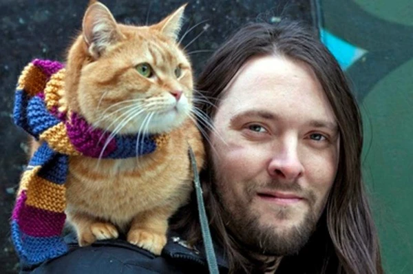 James Bowen e Bob por Reprodução