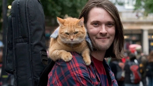 James Bowen e Bob por Reprodução