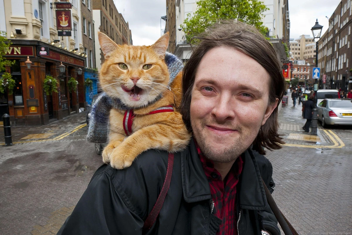 James Bowen e Bob