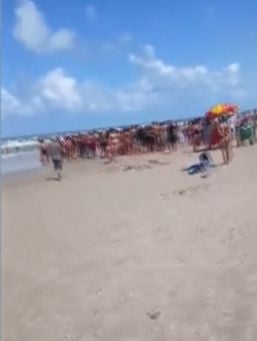 Professor morreu na Praia dos Milionários, em Ilhéus por Reprodução