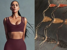 Imagem - Kim Kardashian lança modelo de calcinha que imita pelo pubianos por R$ 190