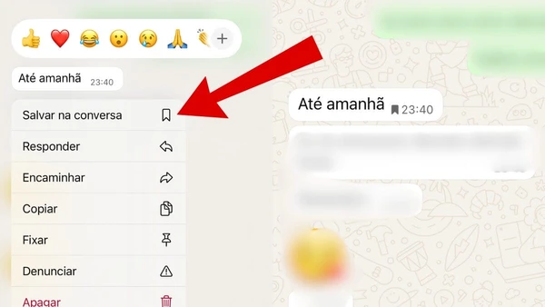 A bandeira aparece apenas quando o recurso de mensagens temporárias está ativo por Reprodução