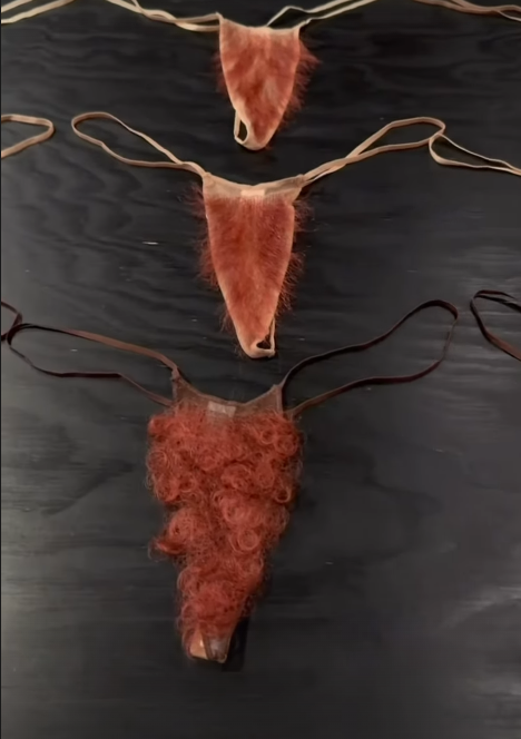 Calcinhas da Skims por Reprodução | Instagram