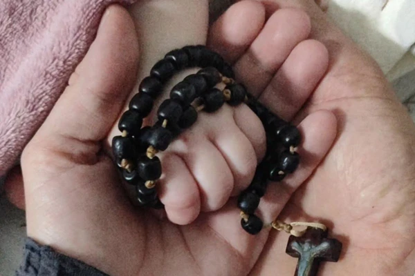 Antonella Valentina Lamb Garbini por Reprodução