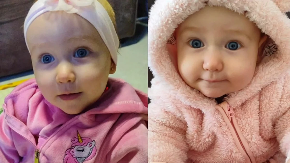 Antonella Valentina Lamb Garbini por Reproduçao