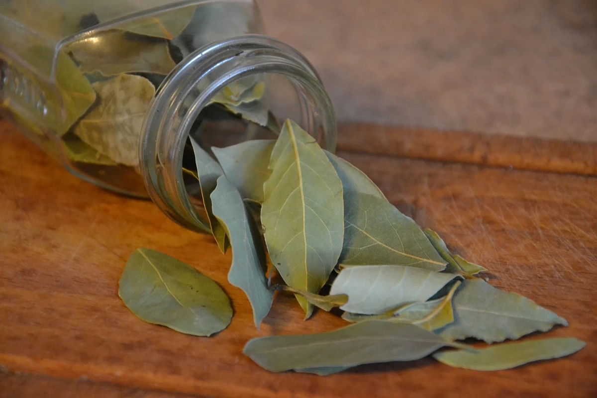 Banho de louro e canela por Reprodução