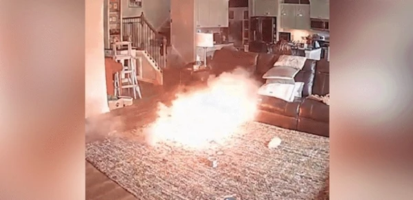Cão incendeia tapete