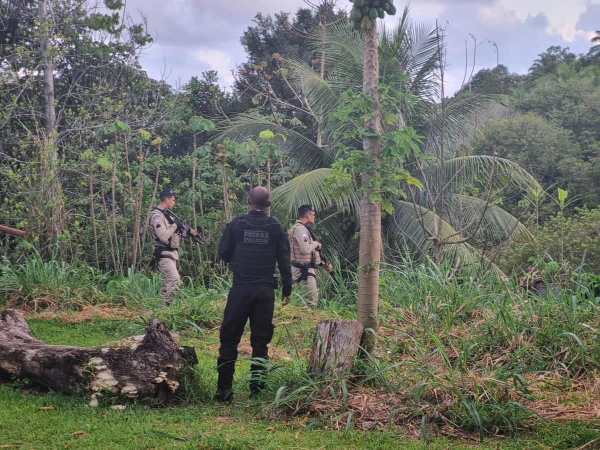 Operação acontece em Maraú, Camamu e Itacaré por Polícia Federal