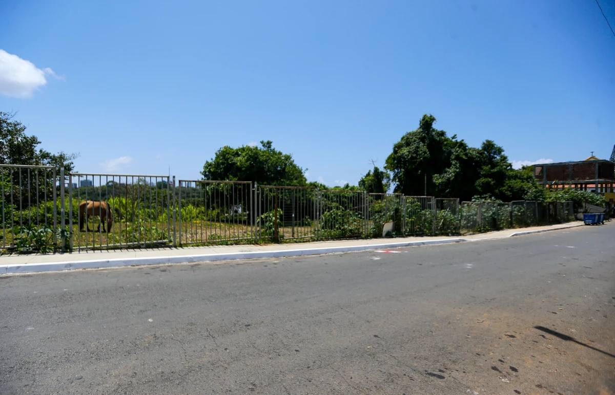 Parte do terreno da Ufba foi invadida para criação de cavalos por ARISSON