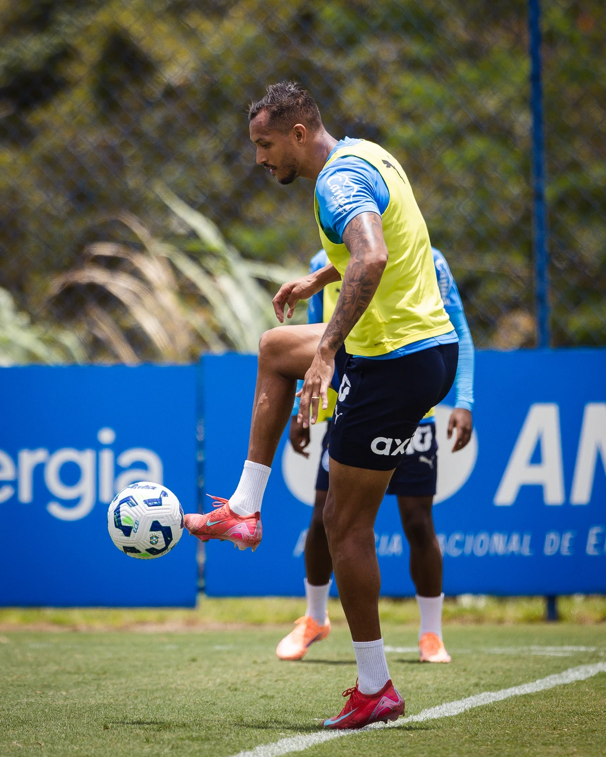 Último treino do Bahia entes do Ba-Vi por Letícia Martins/EC Bahia