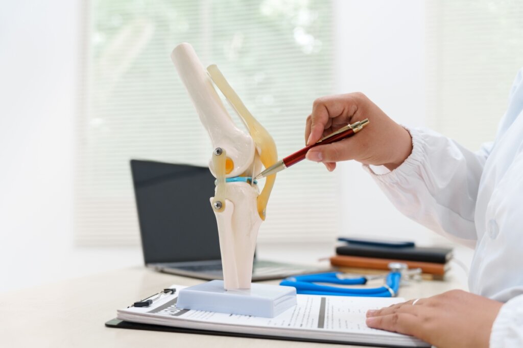 A densidade óssea tende a diminuir com o uso frequente de omeprazol (Imagem: PanuShot | Shutterstock) 