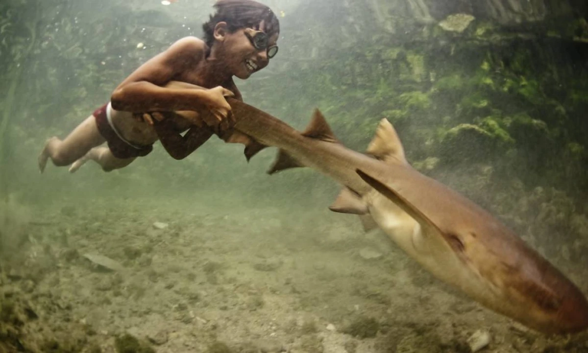 Os bajaus são conhecidos como 'nômades do mar' ou 'ciganos do mar'. Vivem na área do Triângulo dos Corais, entre a Indonésia, Malásia e Filipinas, uma das regiões de maior biodiversidade marinha do mundo por Divulgação / James Morgan (www.jamesmorgan.co.uk)