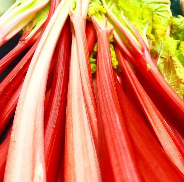 Ruibarbo: talos são populares na culinária, mas folhas contêm grande quantidade de ácido oxálico, que provoca insuficiência renal por Reprodução/Instagram/@chefgugarocha